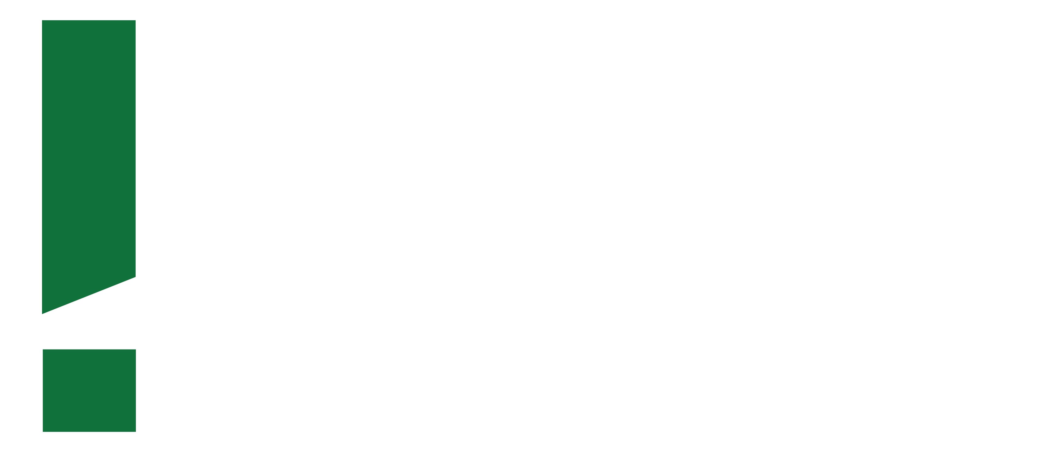 Danger Zone Logo